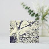 Zwart-witte boom briefkaart (Staand voorkant)