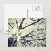 Zwart-witte boom briefkaart (Voorkant / Achterkant)