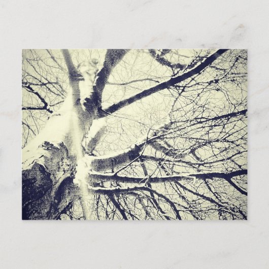 Zwart-witte boom briefkaart (Voorkant)