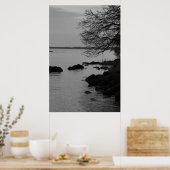 Zwart-witte boom over baai #5845 poster (Keuken)