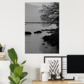 Zwart-witte boom over baai #5845 poster (Thuiskantoor)