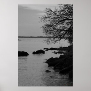 Zwart-witte boom over baai #5845 poster