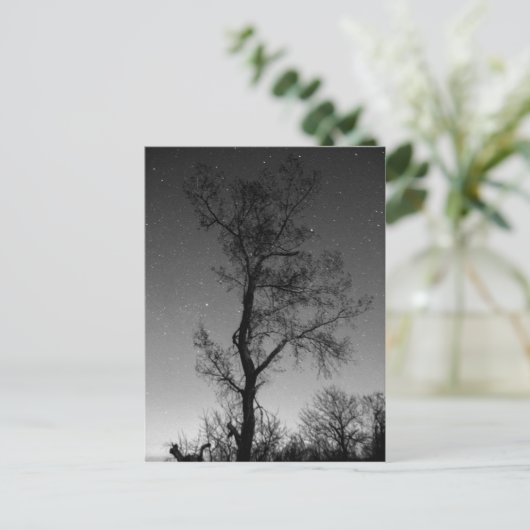 Zwart-witte boom 's nachts briefkaart (Staand voorkant)