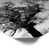 Zwart-witte boom Silhouet met zonsondergang Poster (Hoek)