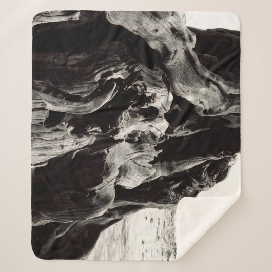 Zwart-witte boomwortels sherpa deken (Voorkant)