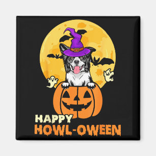 Zwart-Witte Border Collie Heksenhond Blij Magneet