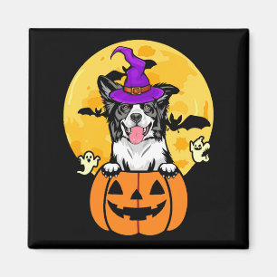 Zwart-Witte Border Collie Heksenhond Halloween Magneet