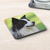 Zwart-witte Border Collie-hond Bier Onderzetter (Linkerzijde)