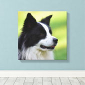 Zwart-witte Border Collie-hond Canvas Afdruk (Insitu (Houten vloer))