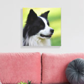 Zwart-witte Border Collie-hond Canvas Afdruk (Insitu (Woonkamer))