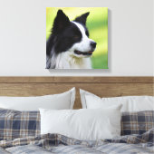 Zwart-witte Border Collie-hond Canvas Afdruk (Insitu (Slaapkamer))