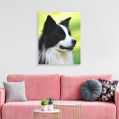 Zwart-witte Border Collie-hond Canvas Afdruk (Insitu (Woonkamer))