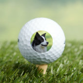 Zwart-witte Border Collie-hond Golfballen (Insitu Shirt)