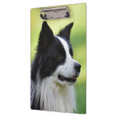 Zwart-witte Border Collie hond Klembord (Links)