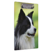 Zwart-witte Border Collie hond Klembord (Rechts)