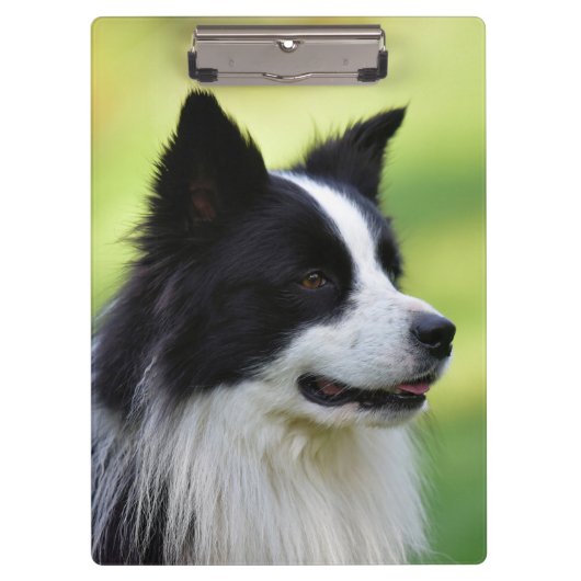 Zwart-witte Border Collie hond Klembord (Voorkant)