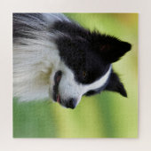 Zwart-witte Border Collie-hond Legpuzzel (Horizontaal)