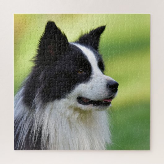 Zwart-witte Border Collie-hond Legpuzzel (Verticaal)