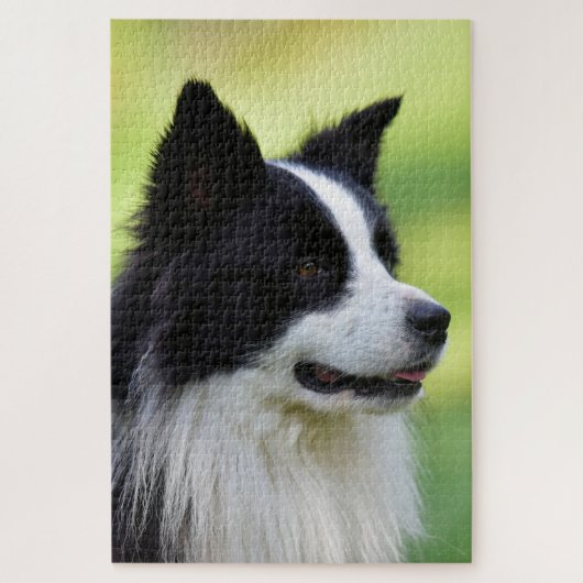 Zwart-witte Border Collie hond Legpuzzel (Verticaal)