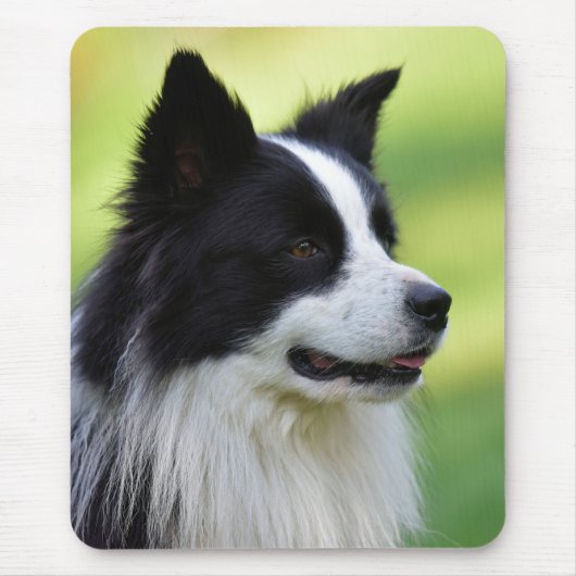 Zwart-witte Border Collie hond Muismat (Voorkant)