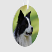 Zwart-witte Border Collie hond Ornament (voorkant)
