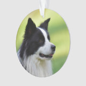 Zwart-witte Border Collie hond Ornament (voorkant)