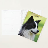 Zwart-witte Border Collie-hond Planner (Display)