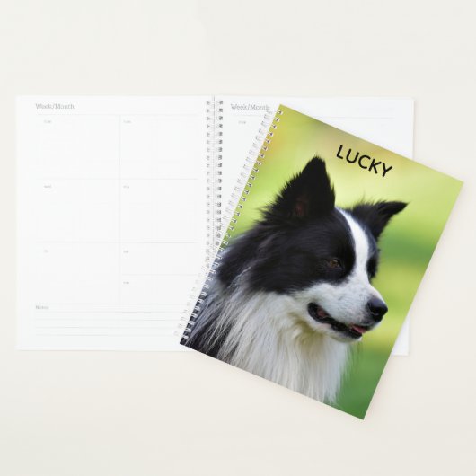 Zwart-witte Border Collie-hond Planner (Display)