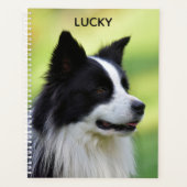Zwart-witte Border Collie-hond Planner (Voorkant)