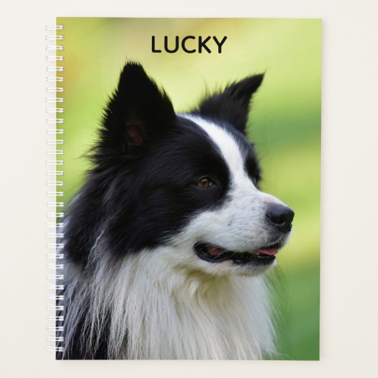 Zwart-witte Border Collie-hond Planner (Voorkant)