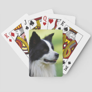 Zwart-witte Border Collie-hond Pokerkaarten