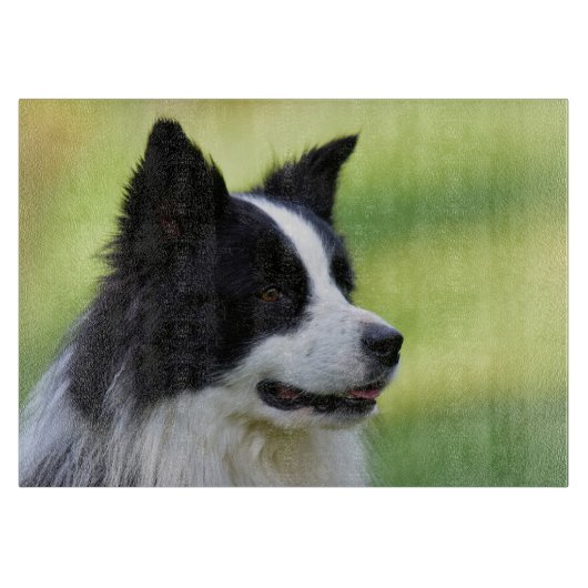 Zwart-witte Border Collie hond Snijplank (Voorkant)