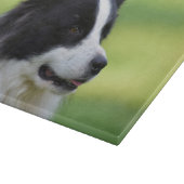Zwart-witte Border Collie hond Snijplank (Hoek)