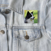 Zwart-witte Border Collie hond Vierkante Button 5,1 Cm (In situ)