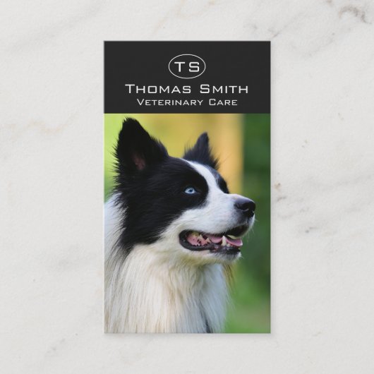 Zwart-witte Border Collie hond Visitekaartje (Voorkant)
