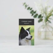 Zwart-witte Border Collie hond Visitekaartje (Staand voorkant)