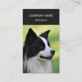 Zwart-witte Border Collie hond Visitekaartje