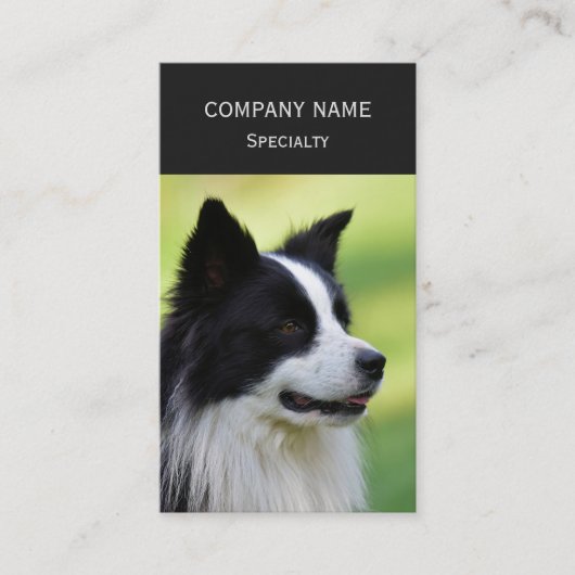 Zwart-witte Border Collie hond Visitekaartje (Voorkant)