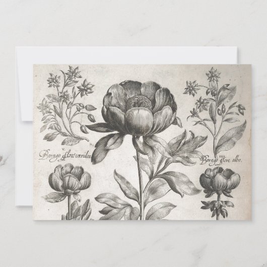 zwart-witte botanische bloemen kaart (Achterkant)