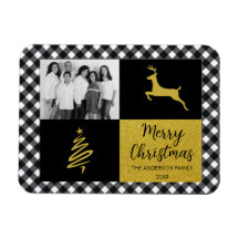 Zwart-witte buffels met gouden feestdag Foto