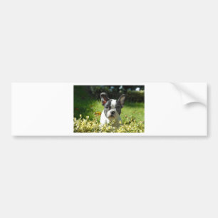 Zwart-witte bull Dog Puppy Bumpersticker