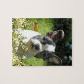 Zwart-witte bull Dog Puppy Legpuzzel (Horizontaal)