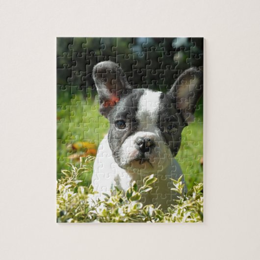 Zwart-witte bull Dog Puppy Legpuzzel (Verticaal)