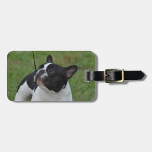 Zwart-witte Bulldog Bagagelabel