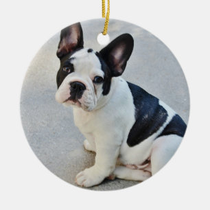 Zwart-witte Bulldog Keramisch Ornament