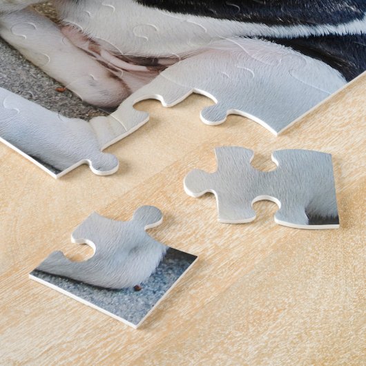 Zwart-witte Bulldog Legpuzzel (Zijkant)