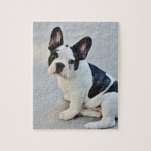 Zwart-witte Bulldog Legpuzzel