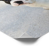 Zwart-witte Bulldog Poster (Hoek)
