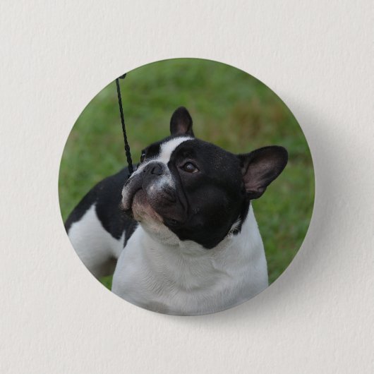 Zwart-witte Bulldog Ronde Button 5,7 Cm (Voorkant)
