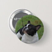 Zwart-witte Bulldog Ronde Button 5,7 Cm (Voorkant /achterkant)
